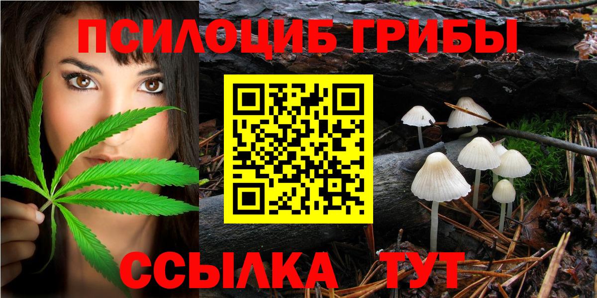 Галлюциногенные грибы Psilocybine cubensis Алексеевка