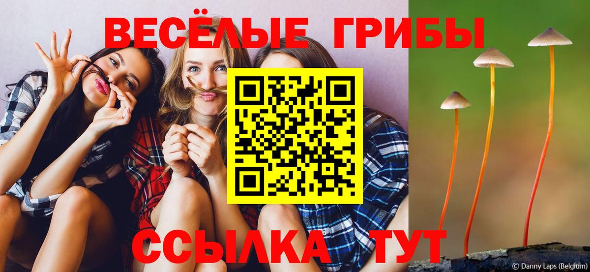 Псилоцибиновые грибы Cubensis  Вход с VPN  Псилоцибиновые грибы Psilocybine cubensis  Алексеевка 